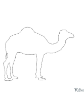 camel Coloring Pages To Print